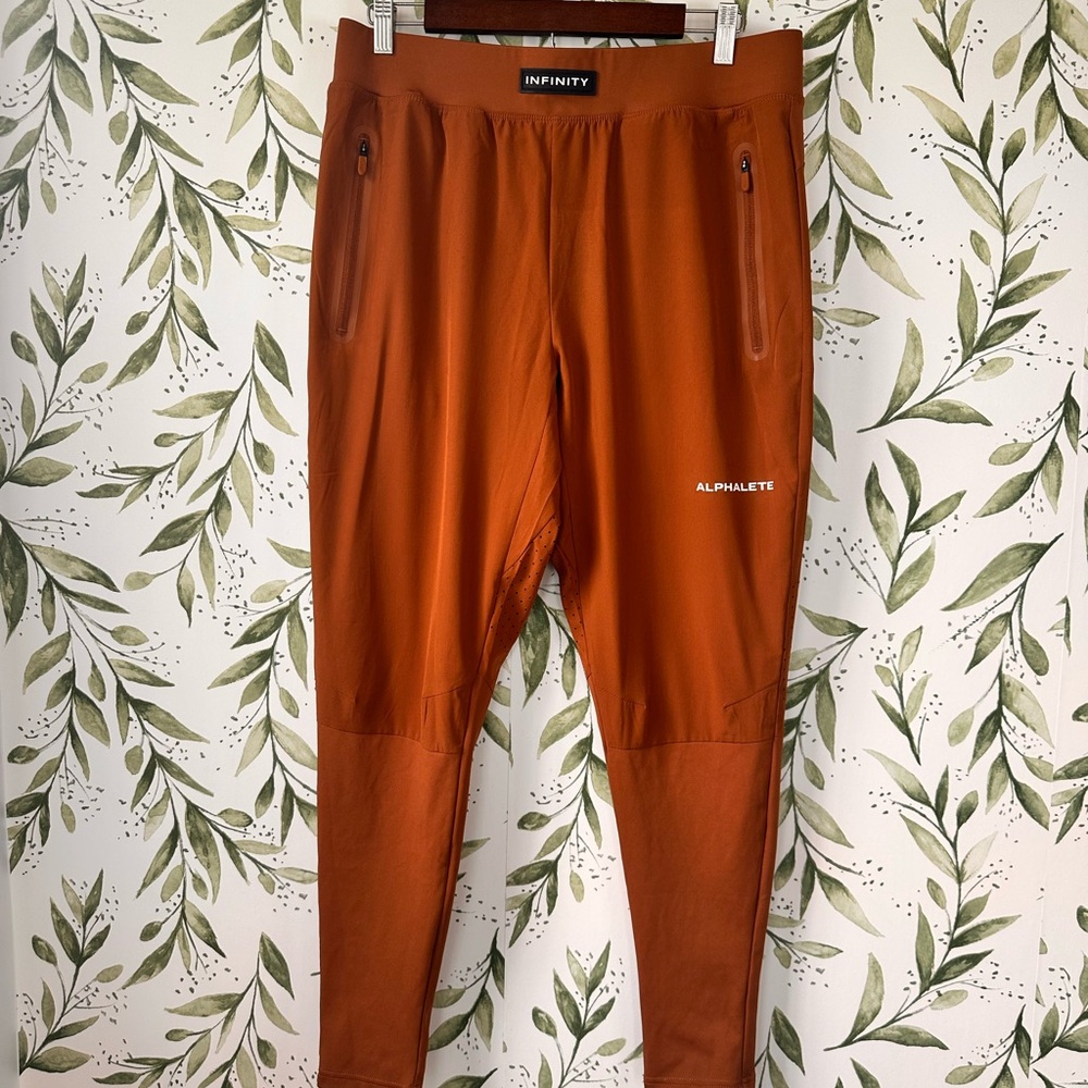 Alphalete Men's Infinity Tech Joggers. Large. Color Spice.